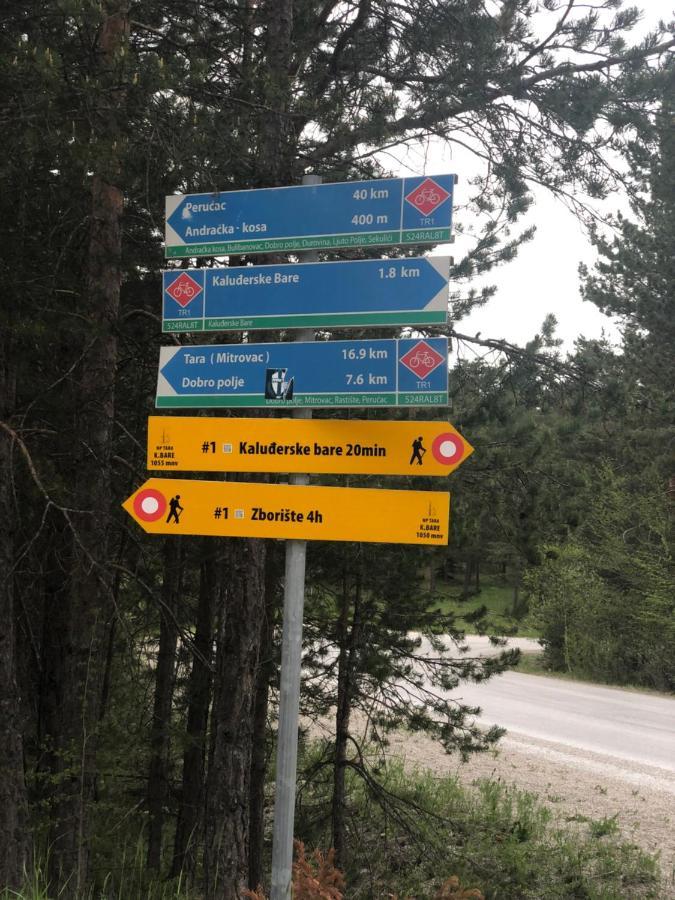 Vikendica Maksimovic - Tara - Primamo Vaucere Villa Kaludjerske Bare Eksteriør bilde